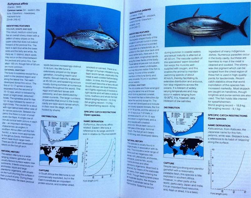 A Guide to The Common Sea Fishes of Southern Africa - Rudy Van Der Elst