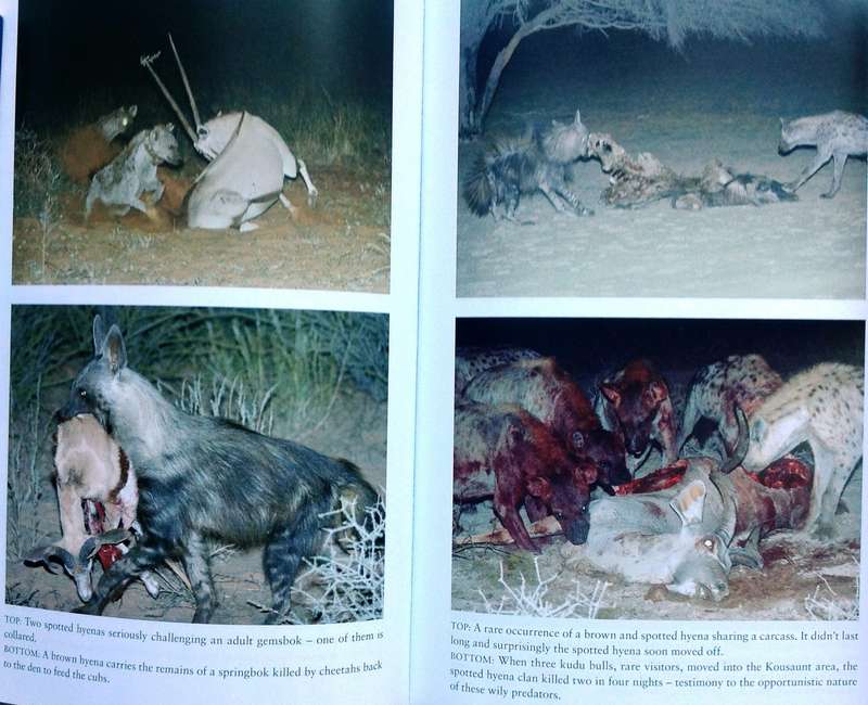 Hyena Nights and Kalahari Days - Gus and Margie Mills