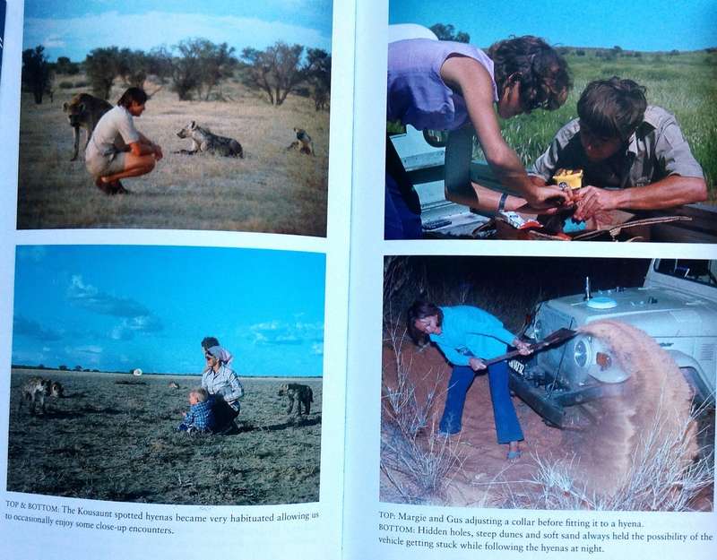 Hyena Nights and Kalahari Days - Gus and Margie Mills