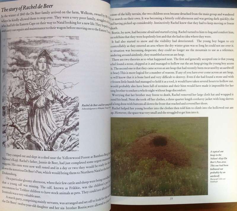 Drakensberg Passes-An historical account of the origins of Natal's Drakensberg Passes-G v Schalkwyk