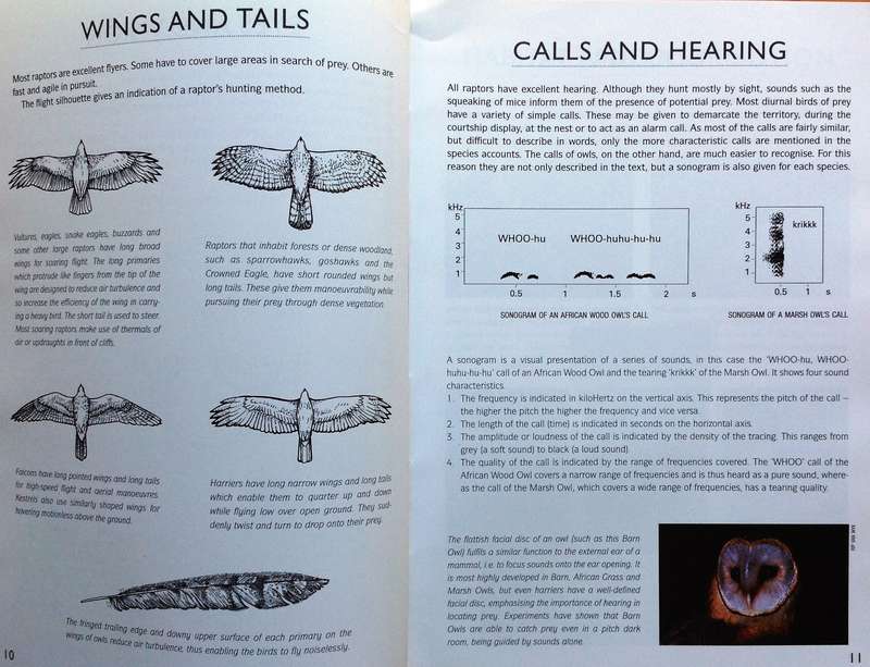 RAPTOR Identification Guide for Southern Africa - Ulrich Oberprieler and Burger Cillie