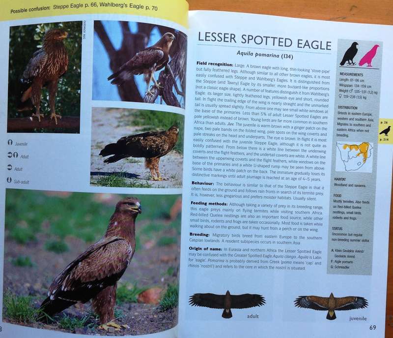 RAPTOR Identification Guide for Southern Africa - Ulrich Oberprieler and Burger Cillie