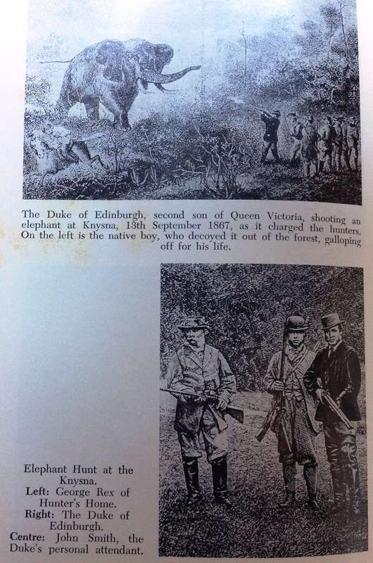 GEORGE REX of Knysna - Sanni Metelerkamp - The Authentic Story