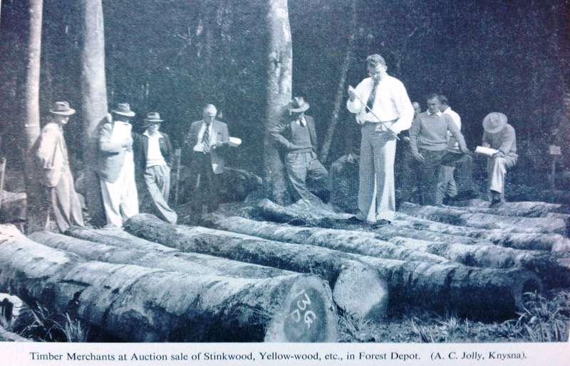 Two books - Timber and Tides Knysna and Plettenberg Bay-Tapson and George Rex-S Metelerkamp