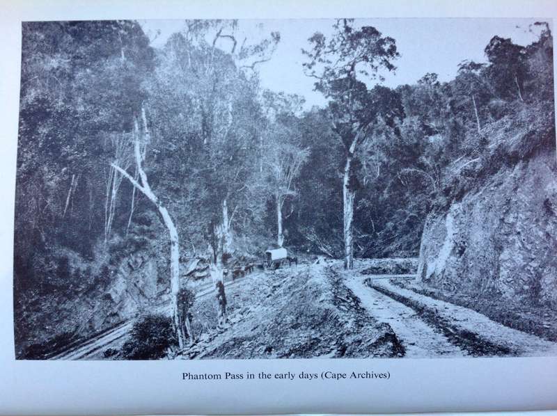 Two books - Timber and Tides Knysna and Plettenberg Bay-Tapson and George Rex-S Metelerkamp