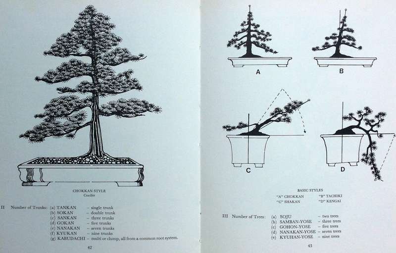 The South African Bonsai Book - Doug Hall and Don Black - Hardcover