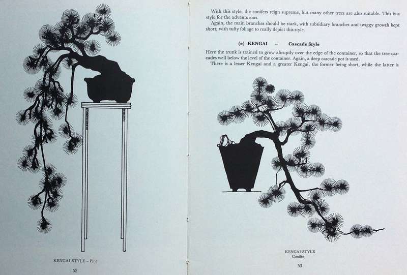 The South African Bonsai Book - Doug Hall and Don Black - Hardcover