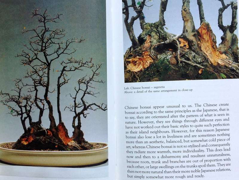 Practical Bonsai - their care, cultivation and training - Paul Lesniewicz and Hideo Kato