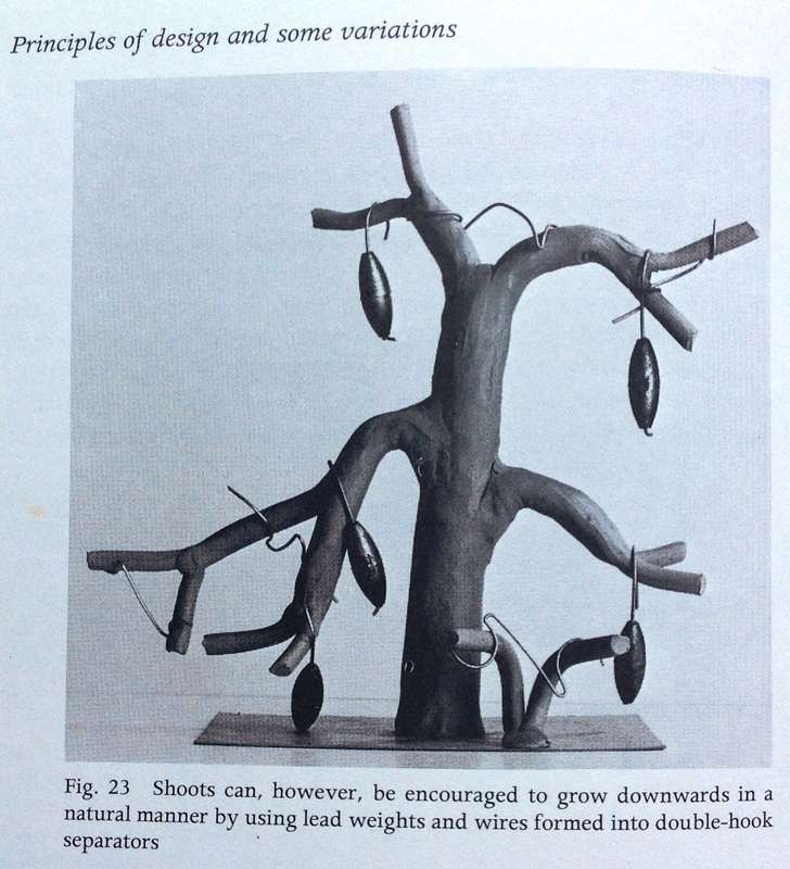 KAMUTI - A New Way in Bonsai - Willi E Bollmann - Hardcover