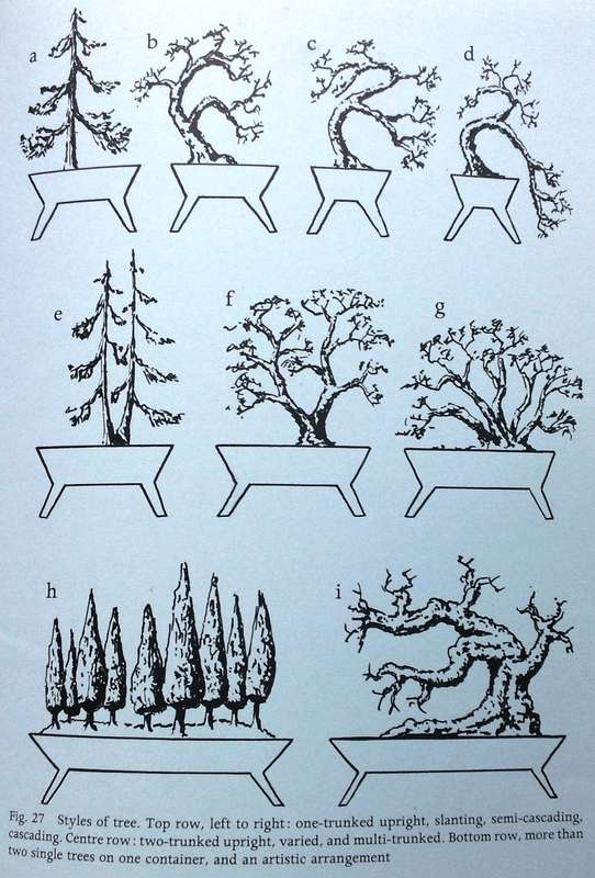 KAMUTI - A New Way in Bonsai - Willi E Bollmann - Hardcover