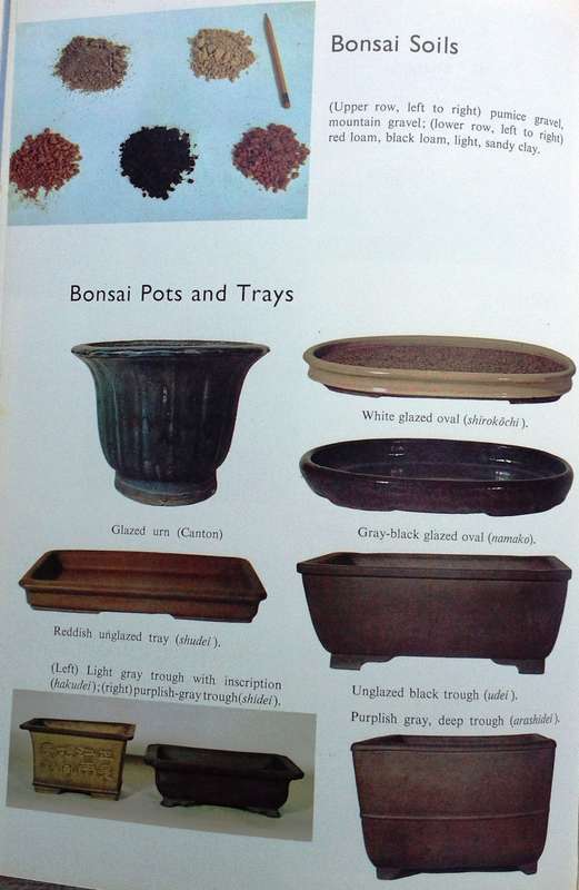 Bonsai for Pleasure by Keiji Murata and Takema Takeuchi - Hardcover