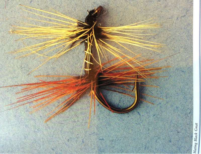 Peter Deane's Fly-Tying - Peter Deane - Hardcover
