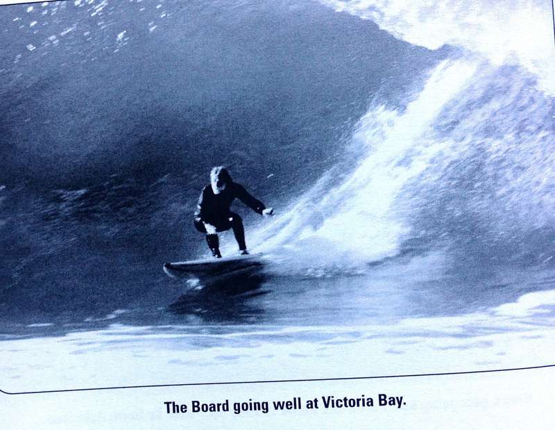 Lunatic Surfer or Destiny? - Donald Paarman - book signed by Author