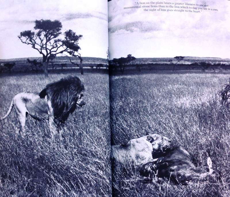 Longing for Darkness - Kamante's tales from Out of Africa - Collected by Peter Beard