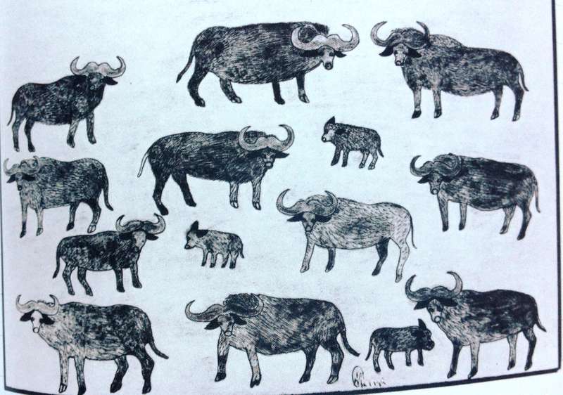 Longing for Darkness - Kamante's tales from Out of Africa - Collected by Peter Beard