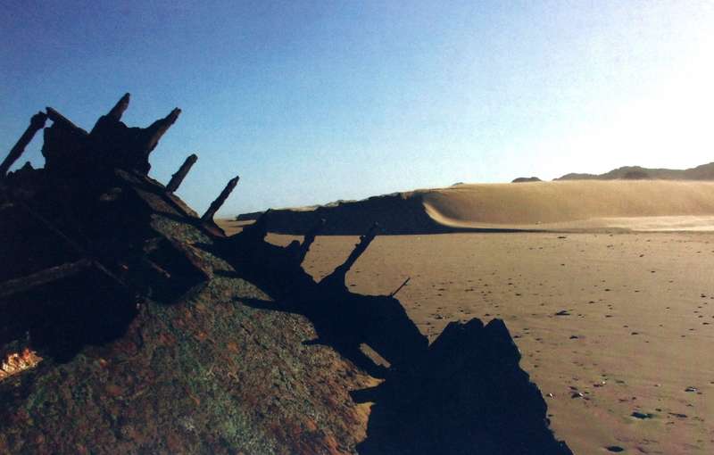 hope in thyme - A Journey along the coast of South Africa - David Grier - signed by Author