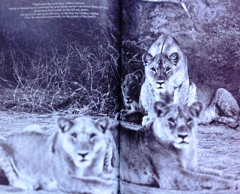 Longing for Darkness - Kamante's tales from Out of Africa - Collected by Peter Beard