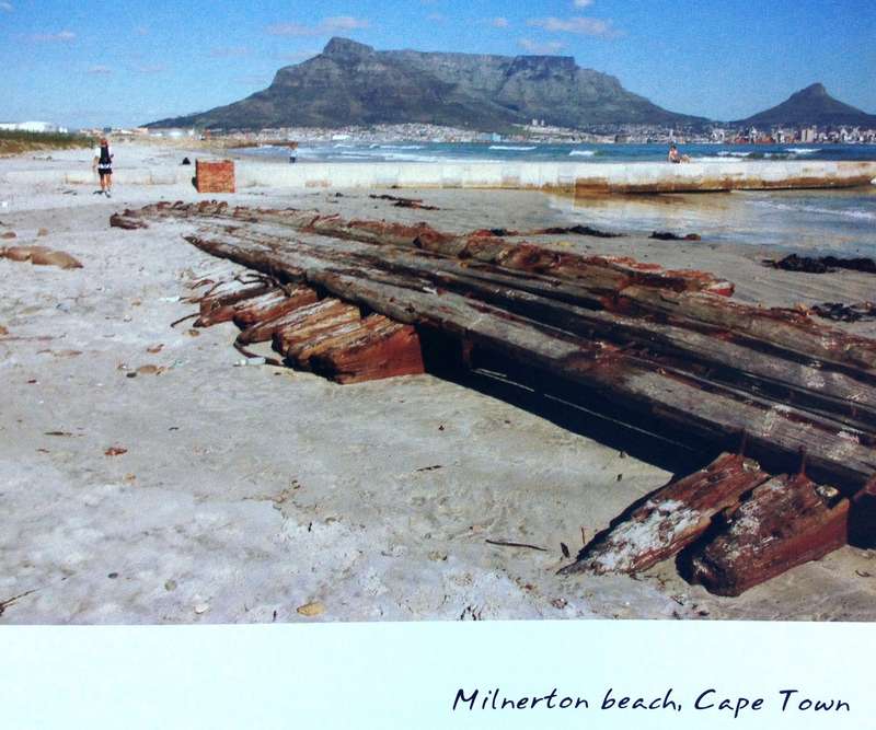 hope in thyme - A Journey along the coast of South Africa - David Grier - signed by Author