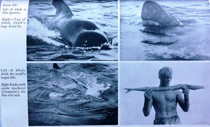 The Kon-Tiki Expedition by Thor Heyerdahl - Hardcover