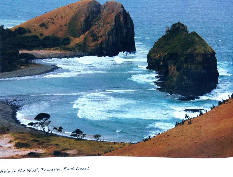 hope in thyme - A Journey along the coast of South Africa - David Grier - signed by Author
