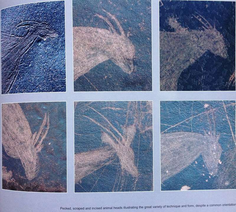 Karoo Rock Engravings...Follow the San...  John Parkington, David Morris and Neil Rusch