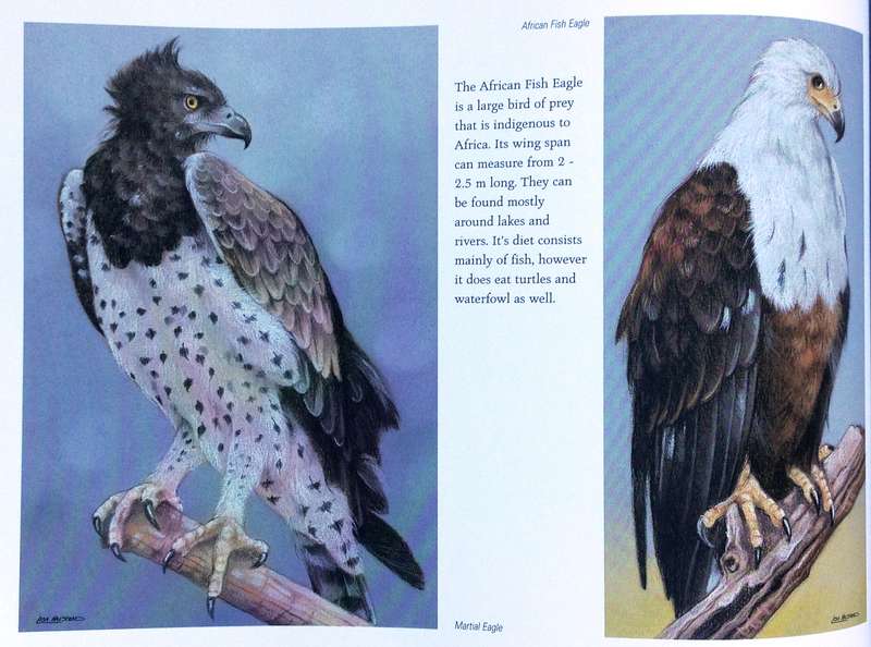 Heavens of Africa - Lisa Halstead Wildlife Artist - written by David Elliot Wien - Hardcover