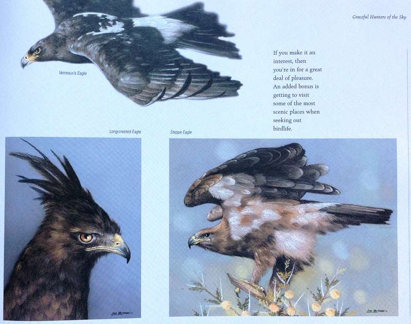 Heavens of Africa - Lisa Halstead Wildlife Artist - written by David Elliot Wien - Hardcover