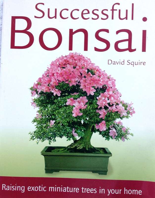 Successful Bonsai - Raising exotic miniature trees in your home - David Squire