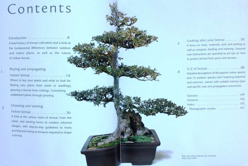 Successful Bonsai - Raising exotic miniature trees in your home - David Squire