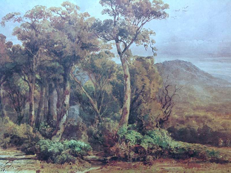 A Treasury of Australian Bush Painting - Susan Bruce - Hardcover