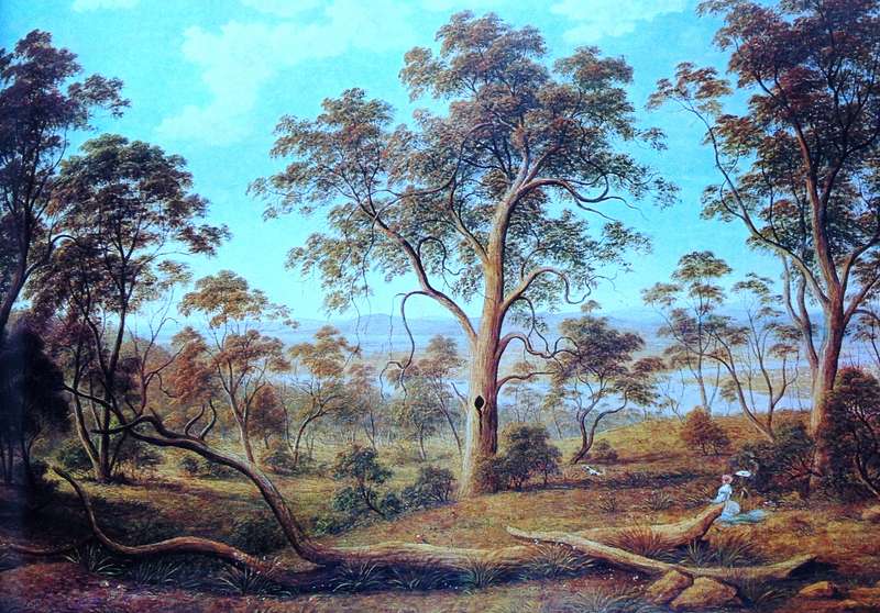 A Treasury of Australian Bush Painting - Susan Bruce - Hardcover