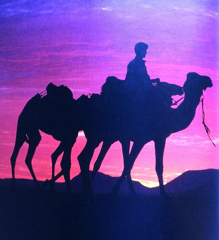 The Skeleton Coast - A Journey through the Namib Desert - Benedict Allen - Hardcover