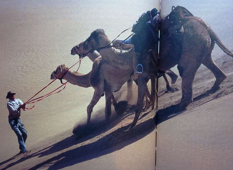 The Skeleton Coast - A Journey through the Namib Desert - Benedict Allen - Hardcover