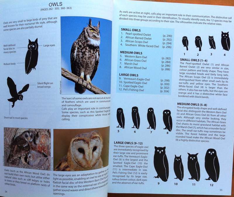 The Raptor Guide of Southern Africa - Ulrich Oberprieler