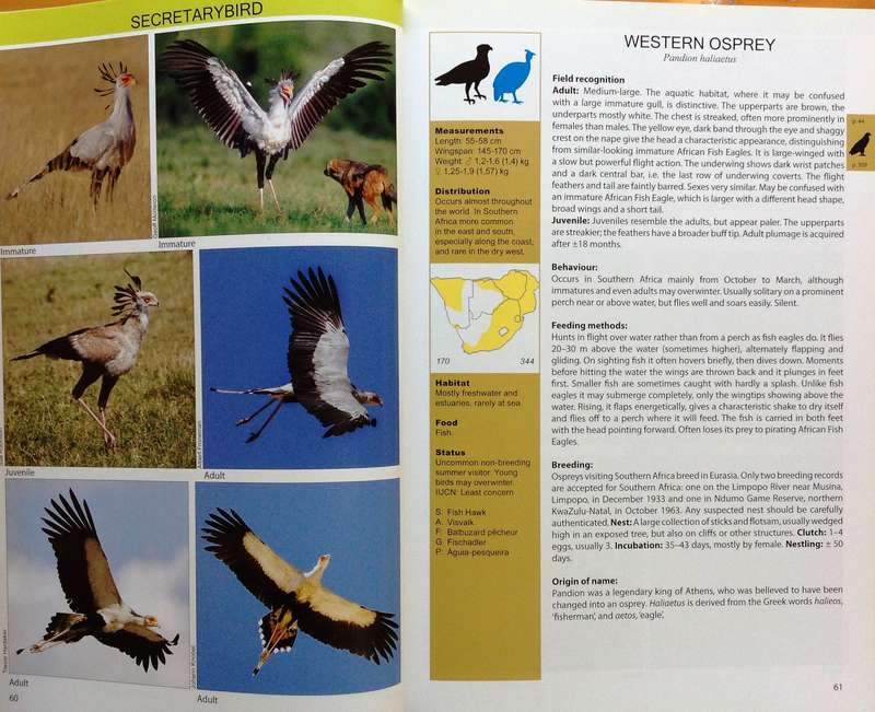 The Raptor Guide of Southern Africa - Ulrich Oberprieler