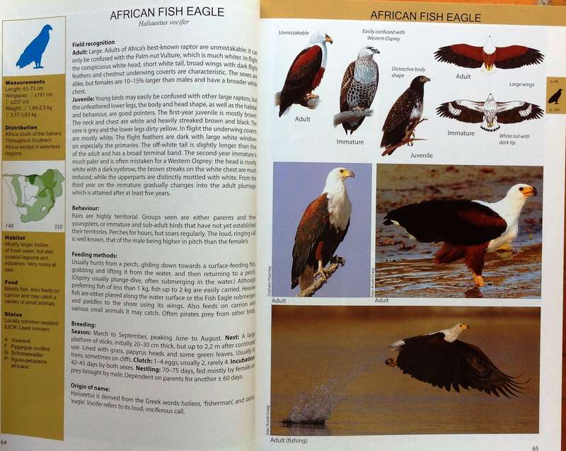 The Raptor Guide of Southern Africa - Ulrich Oberprieler