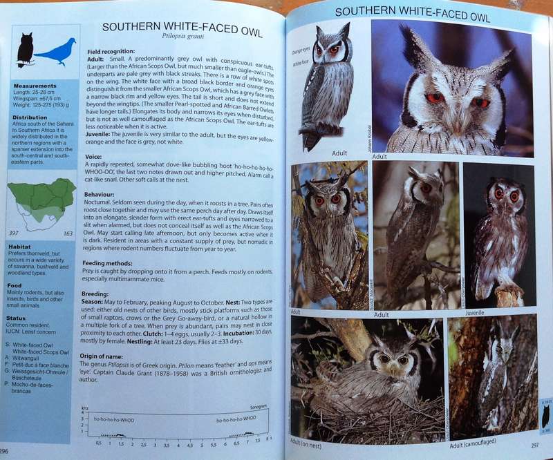 The Raptor Guide of Southern Africa - Ulrich Oberprieler