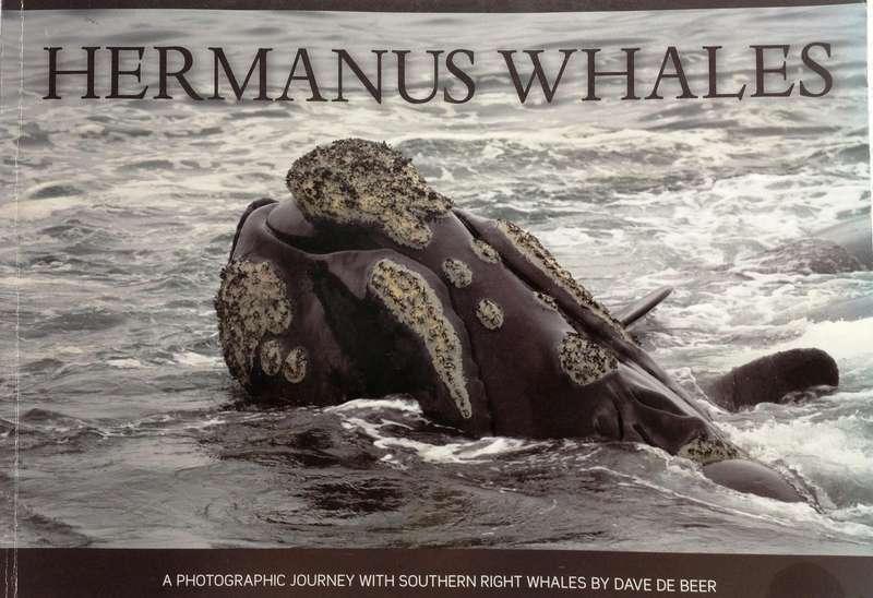Hermanus Whales - Dave de Beer - book signed by Author