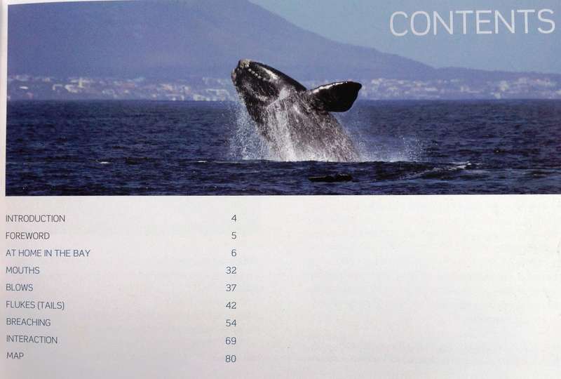 Hermanus Whales - Dave de Beer - book signed by Author
