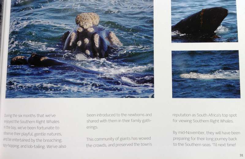 Hermanus Whales - Dave de Beer - book signed by Author