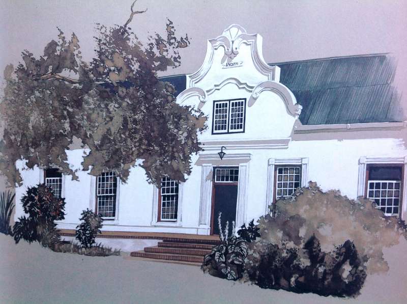 Cape Wine Homesteads - Ted Hoefsloot and Cor Pama - Hardcover