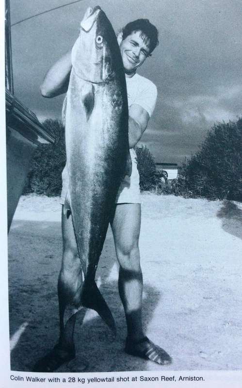 Diving and Spearfishing in South Africa - Piet van Rooyen - Hardcover (1988 First Edition)
