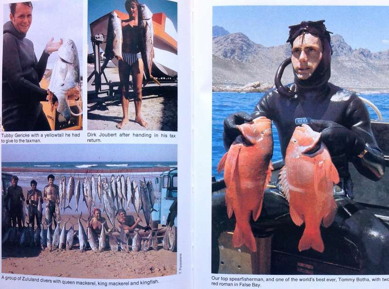 Diving and Spearfishing in South Africa - Piet van Rooyen - Hardcover (1988 First Edition)