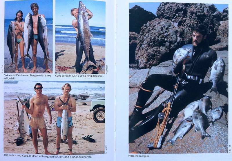 Diving and Spearfishing in South Africa - Piet van Rooyen - Hardcover (1988 First Edition)