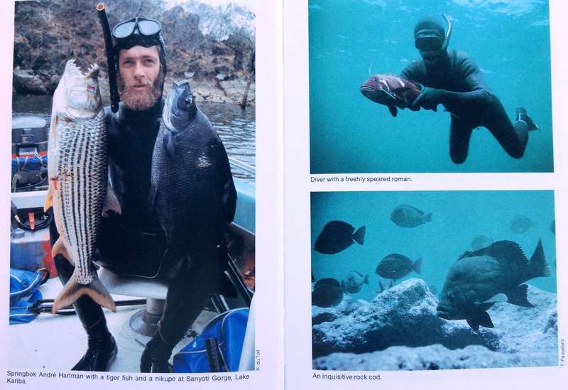 Diving and Spearfishing in South Africa - Piet van Rooyen - Hardcover (1988 First Edition)