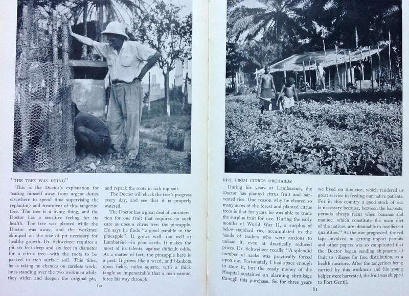 The Africa of Albert Schweitzer - Charles R Joy and Melvin Arnold - Hardcover