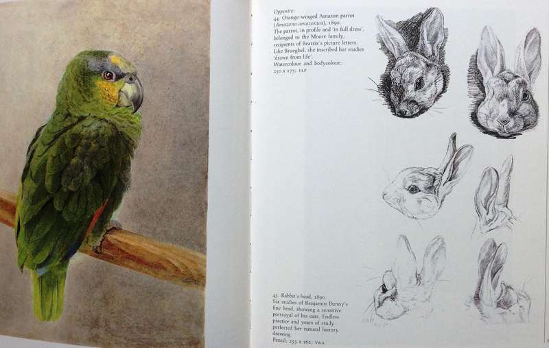 Beatrix Potter's Art - Paintings and drawings selected and introduced by Anne S Hobbs - Hardcover