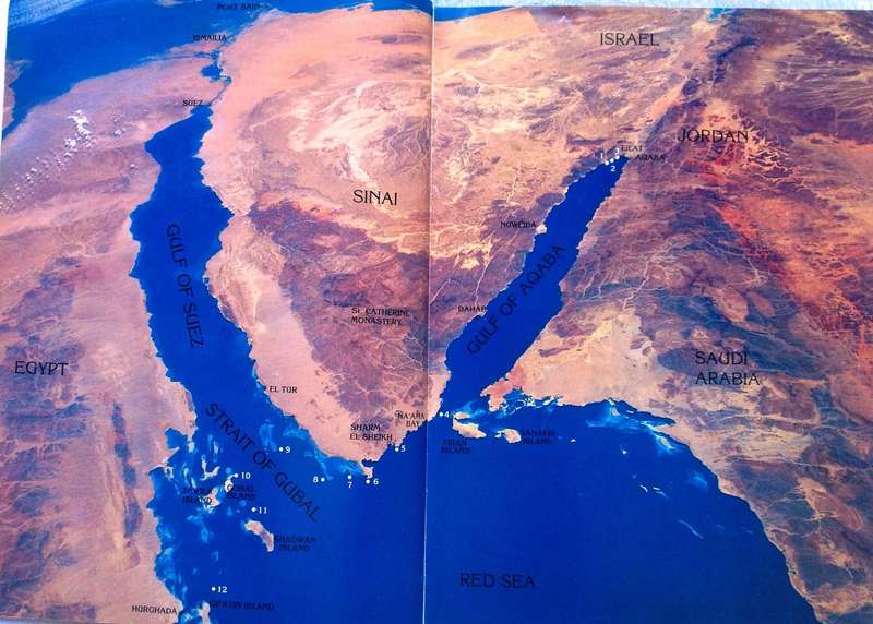 Red Sea Diving Guide - Andrea Ghisotti & Alessandro Carletti & Hanan Golombek