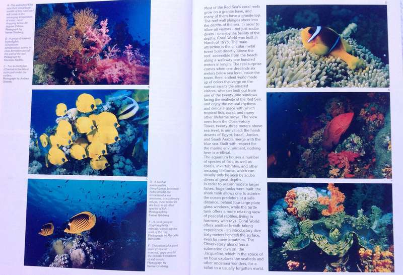 Red Sea Diving Guide - Andrea Ghisotti & Alessandro Carletti & Hanan Golombek