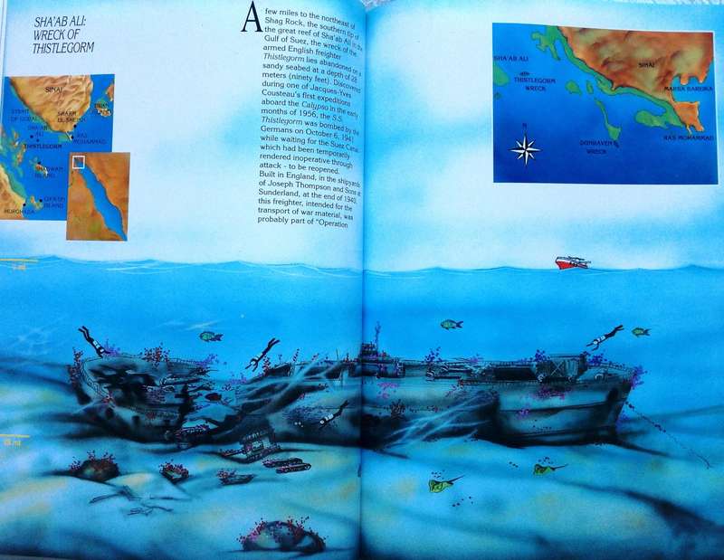 Red Sea Diving Guide - Andrea Ghisotti & Alessandro Carletti & Hanan Golombek